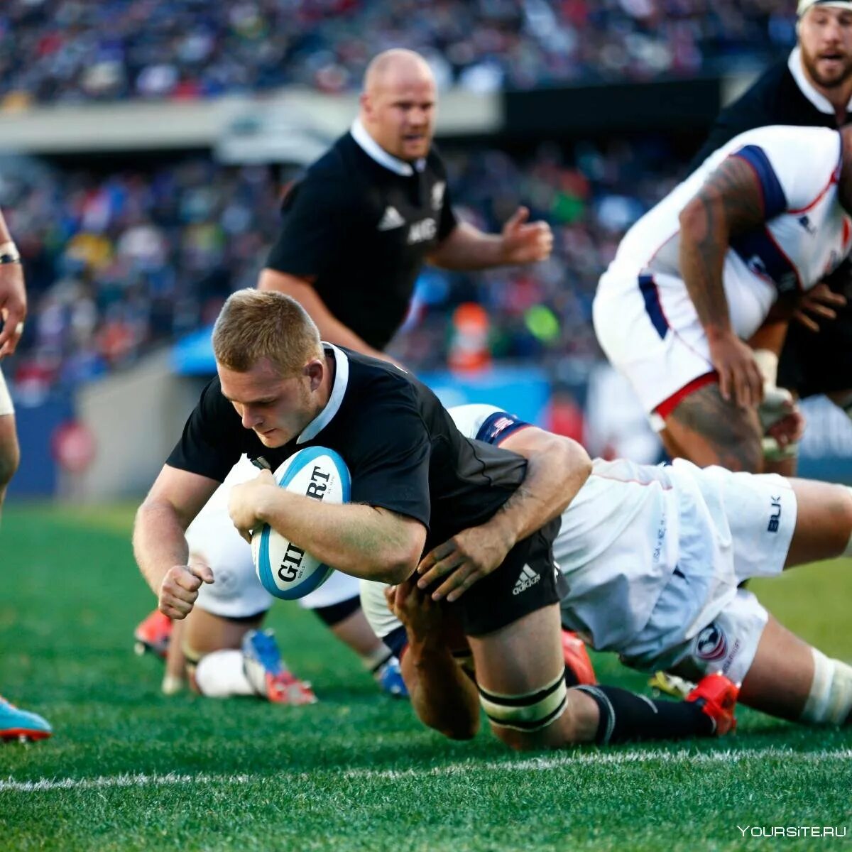 New zealand sport. Регби олл Блэкс. Команда регби новая Зеландия. Сборная регби новая Зеландия. Регбисты новой Зеландии фото.