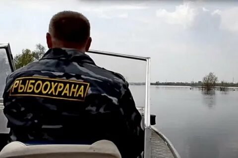Я рыбнадзор а ты знаешь кто видео