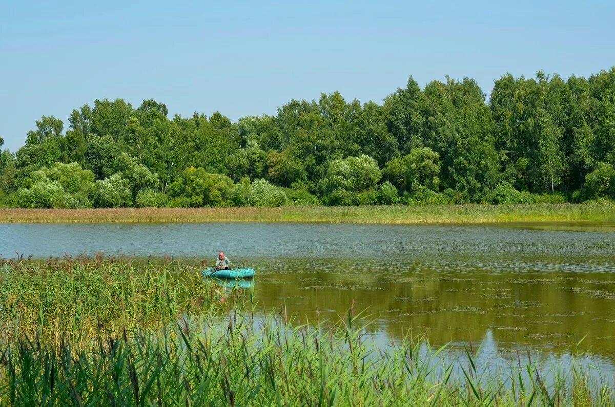 Погода кощино. Озеро Кощино Смоленск. Озеро в Кощино Смоленская область. Деревня Кощино. Акатовское озеро.