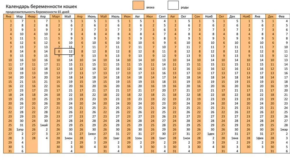 Калькулятор беременности рассчитать срок родов у собак. Таблица беременности кошек. Таблица родов у собак. Таблица беременности собаки. Неделя рождения калькулятор