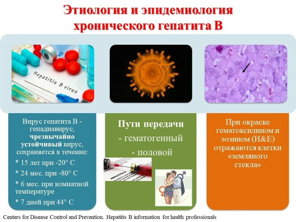 Лечение гепатита центр. Хронический гепатит этиология. Гепатит с этиология. Гепатит а этиология эпидемиология. Вирусные гепатиты этиология эпидемиология.