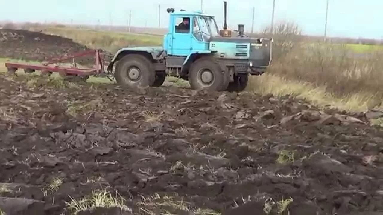 А как пашет семь плугов тащит ответ