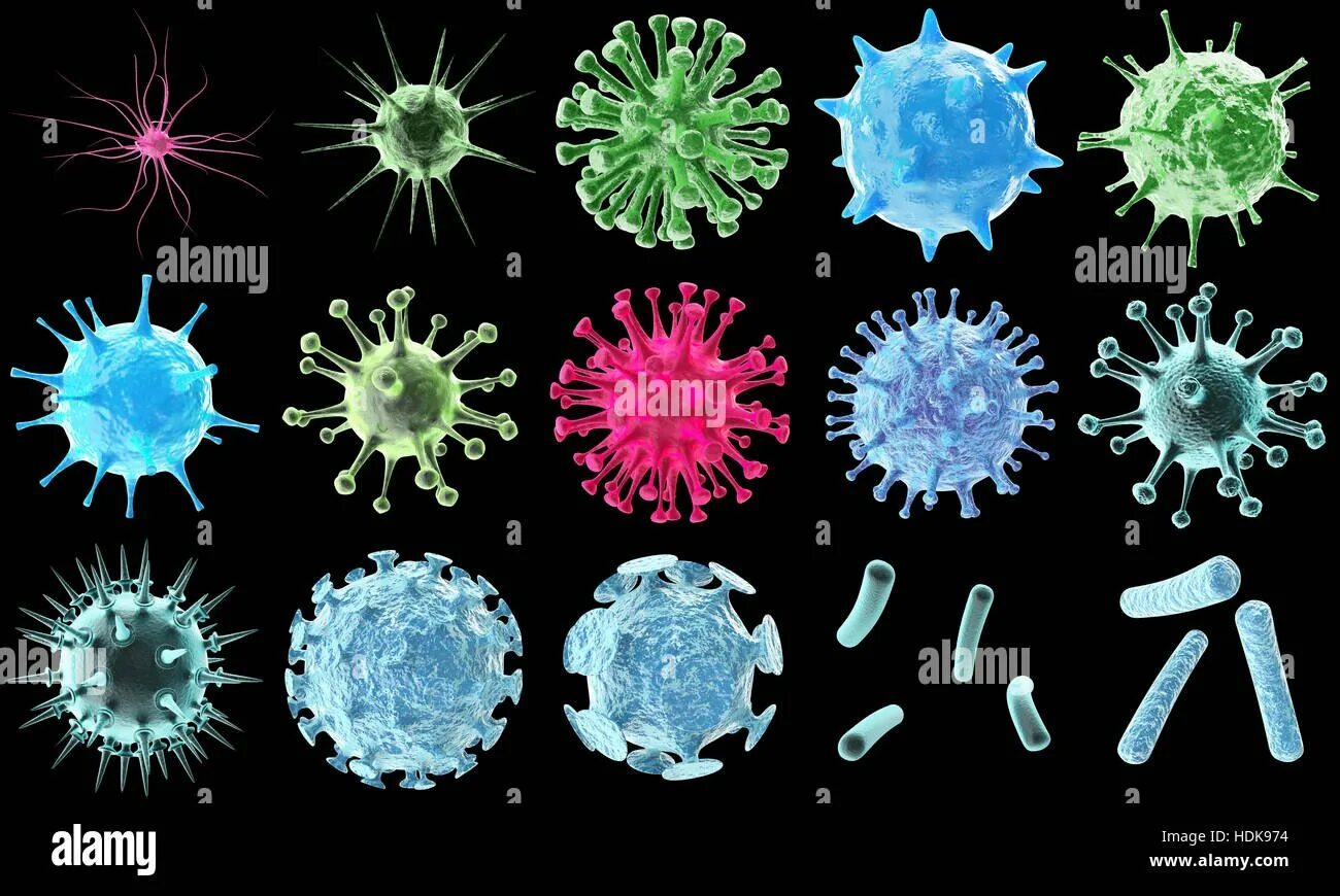 Микробы бактерии вирусы под микроскопом. Разные вирусы. Разнообразные вирусы. Название вирусов и бактерий.