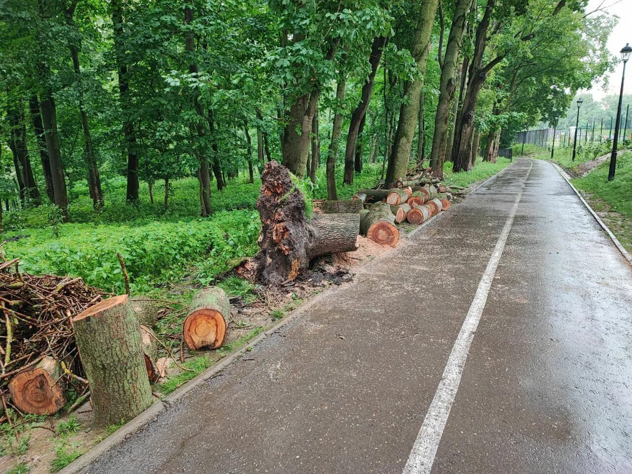 Детский парк закрытый. Платоновский парк Тула фото. В Туле упали леса. Арка в парке Платоновском Тула. Тула закрытие дорог