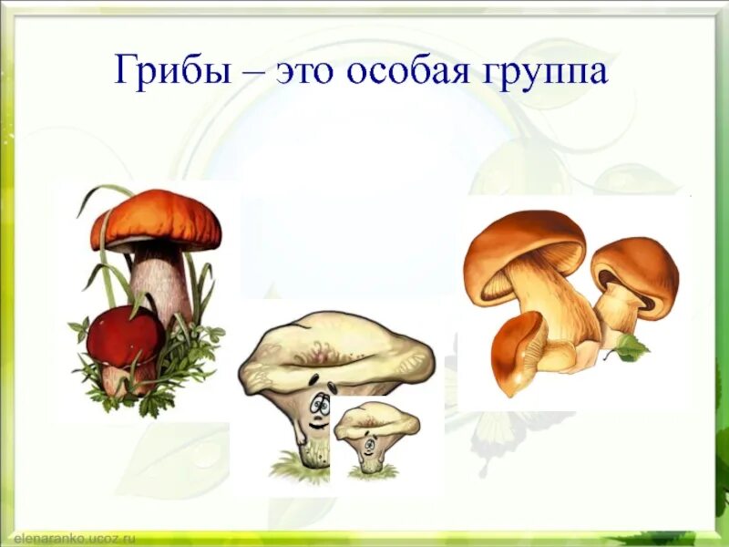 Грибы это особая группа. Хитрые грибы рисунок. Хитрые грибы рисунок второй класс. Гриб ПНШ. Рисунок хитрые грибы окружающий мир 2 класс.