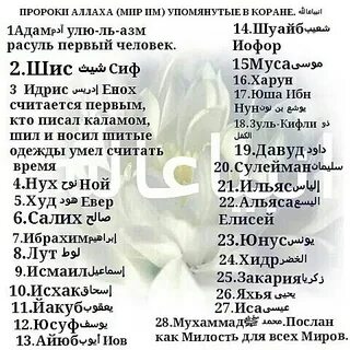 5 пророков которые указаны в коране
