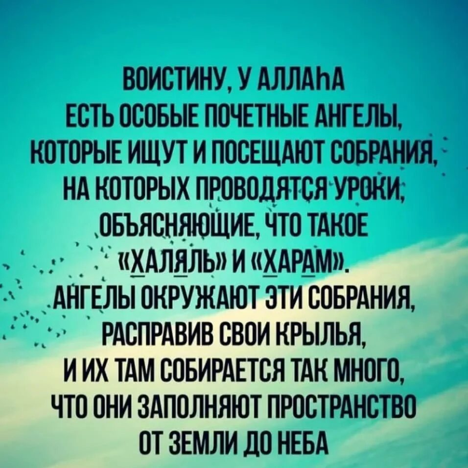 Что такое хадисы в исламе. Хадисы. ислам хадисы. исламские хадисы. хадисы в картинках.