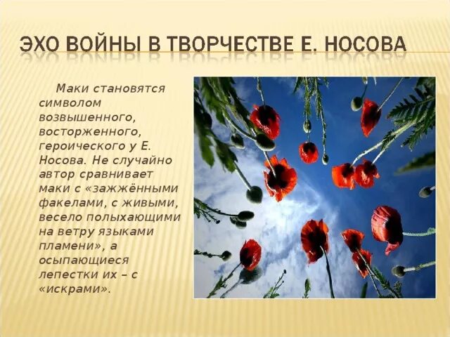 Сочинение живое пламя носов. Живое пламя Носов маки. Е.Носова "живое пламя". Что символизируют маки.