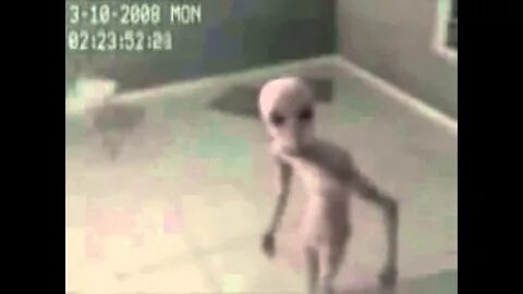 Где настоящий видео