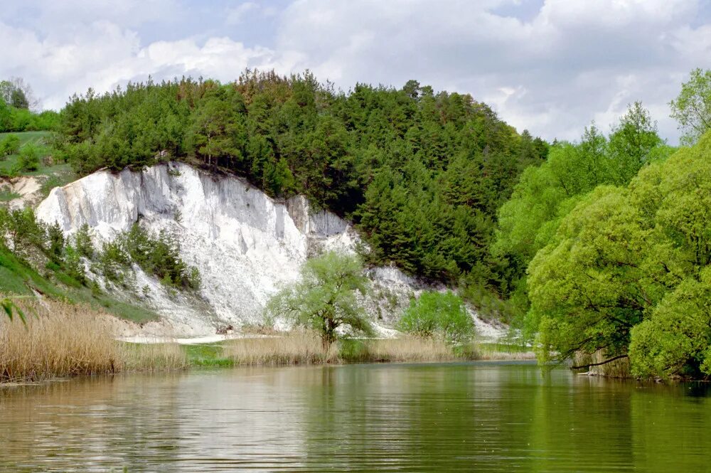 Фотографии белгородской области. Белогорье Белгородская область. Заповедник Белогорье в Белгородской области. Меловая гора в Чернянке Белгородской области. Шебекинский район природа.