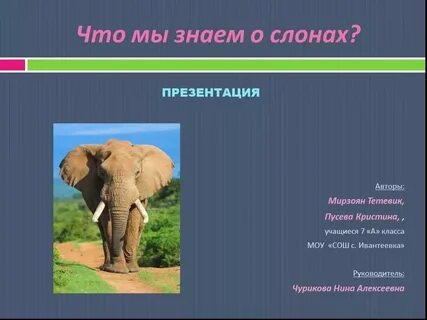 Окружающий мир 1 класс слоны