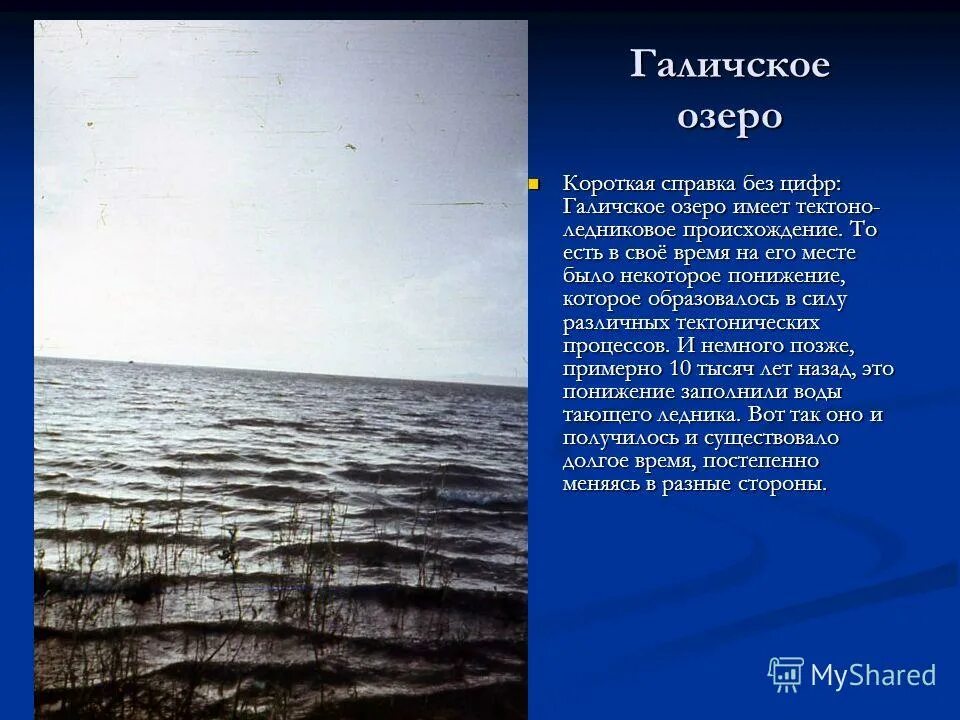 Озеро имеет глубину 20. Озёра Костромской области Галическое. Галичское озеро Костромской области. Галичское озеро Костромской области информация. Сообщение о Галичском озере.