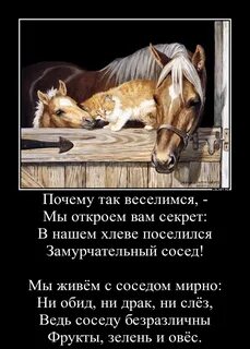 Друзья открою вам секрет