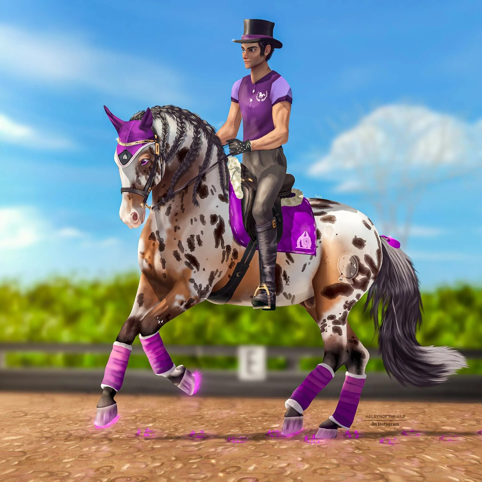 общедоступные аккаунты в стар стейбл с лошадьми. стар стейбл. стар стейбл 2012. стар стейбл зима. пасо фино стар стейбл.