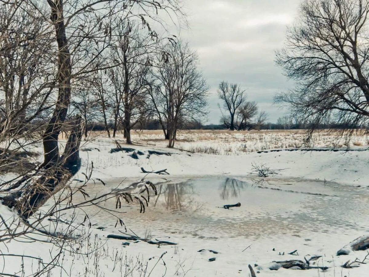 Оттепель зимой. Пасмурный день весной. Конец зимы. Пасмурный весенний день