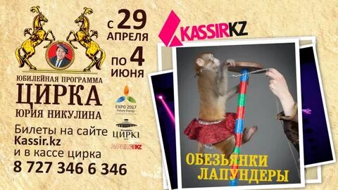 Программа цирка матрешка