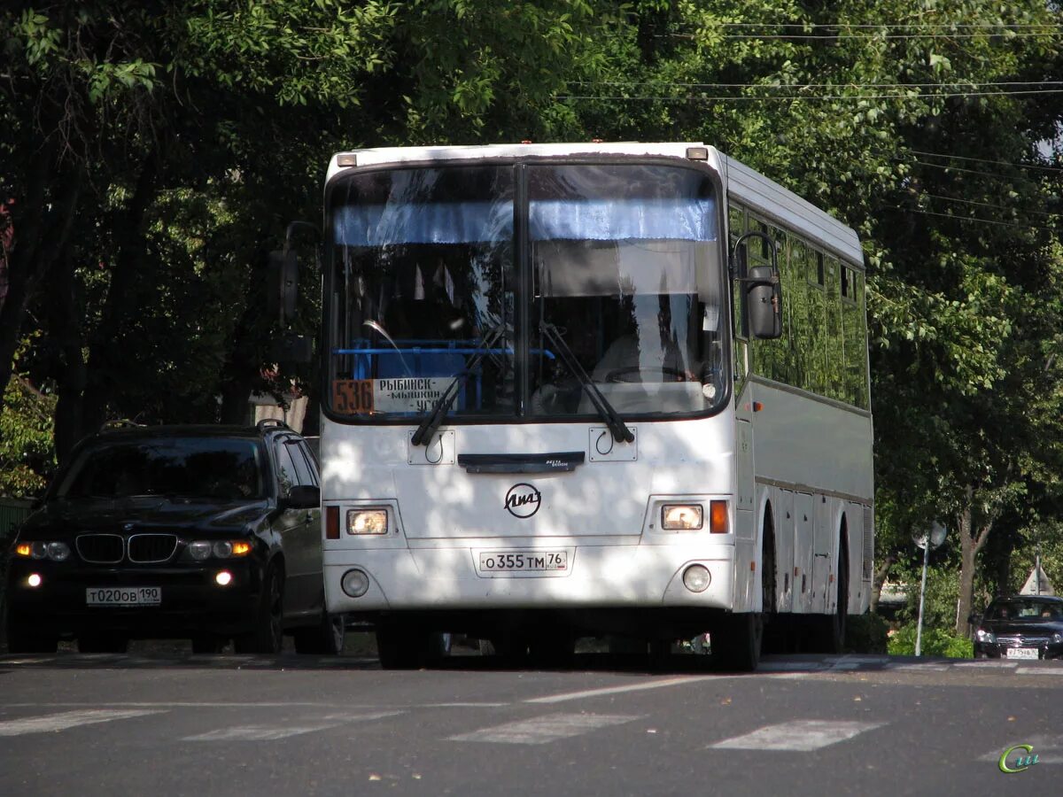 Рыбинский автобус. 536 Рыбинск Углич автобус. Рыбинск Углич автобус. Автобус 536 Углич. Общественный транспорт Углич.