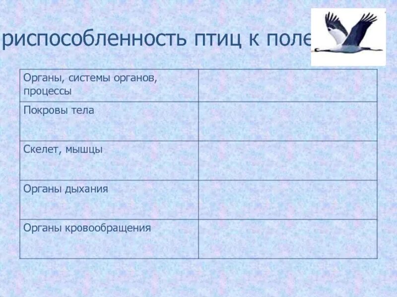 Приспособления птиц к полету. Приспособление птиц к полету таблица. Приспособления систем органов птиц к полёту. Адаптации птиц к полету.