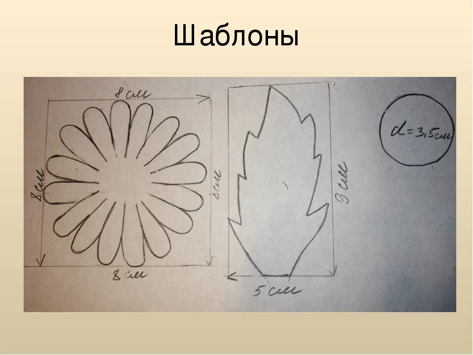 Шаблон хризантемы. Выкройки цветов. Листья ромашки из фоамирана. Выкройка хризантемы. Лекало ромашки.