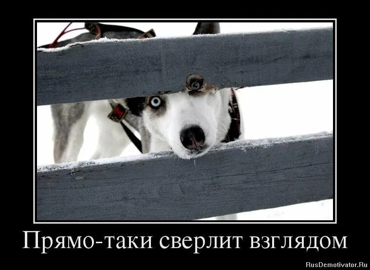 Прямо таки