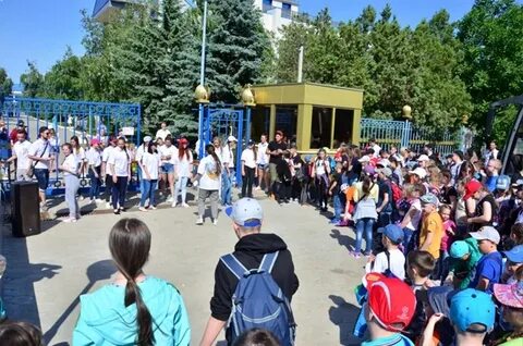 Доц кубанская нива