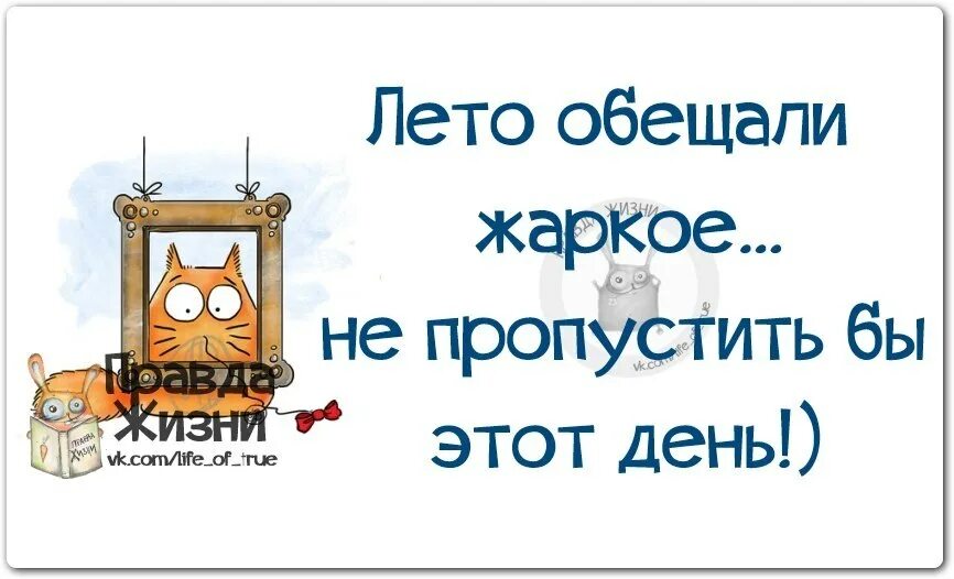 Нынче лето будет. Лето ты где. Где ты лето картинки. Когда же будет лето картинки. Холодное лето высказывание.