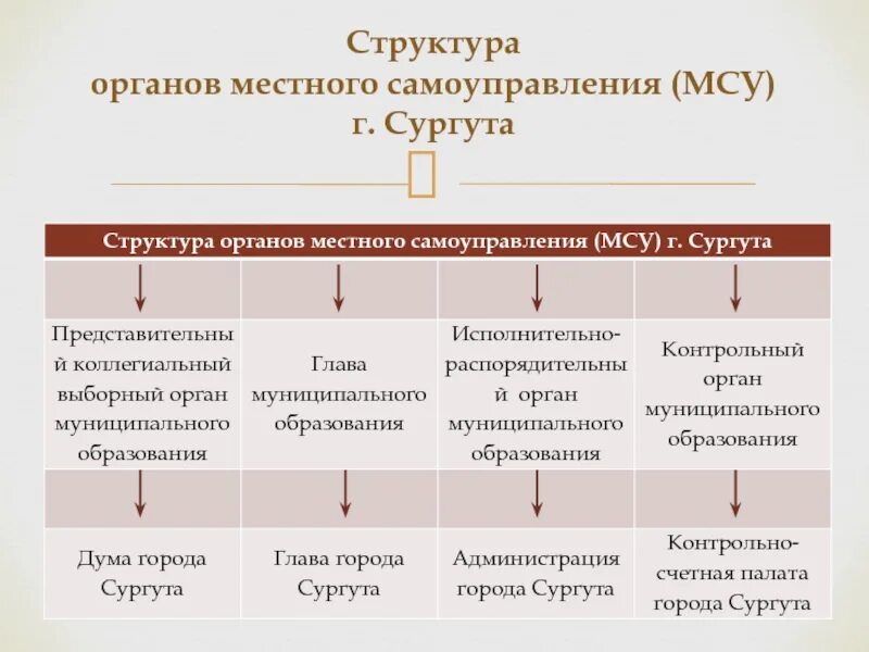 Анализ органа местного самоуправления