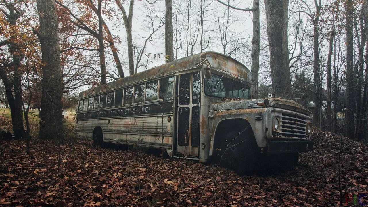 Автобусы старые дороги. Заброшенный Икарус. Старый заброшенный автобус. Заброшенный автобус в лесу. Старые автобусы.