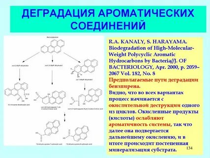 Деградация структуры