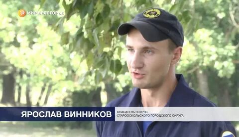 Блоггеры старого оскола