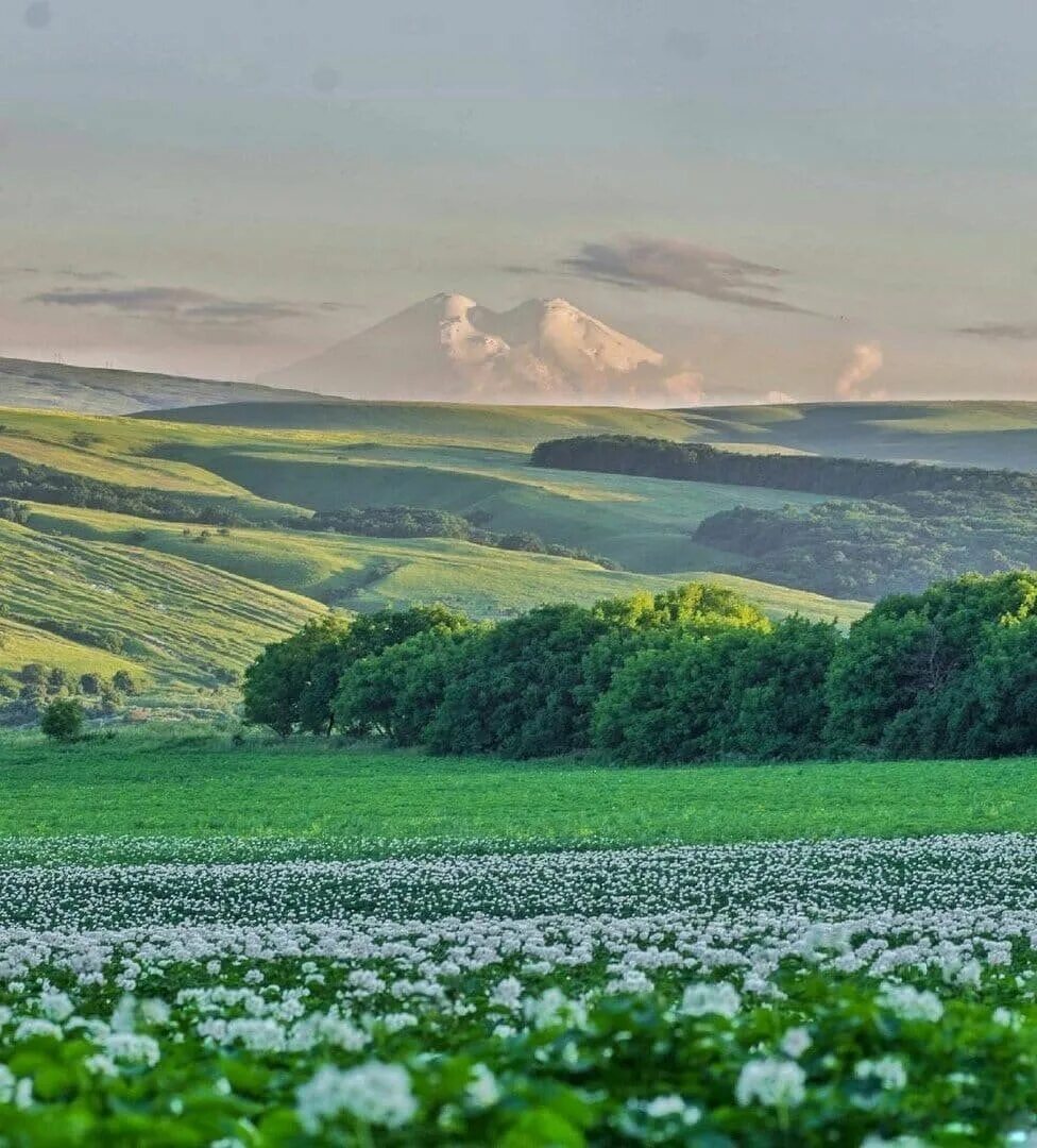 Поля Ставропольского края. Кавказ Ставропольский край. Холмы Ставропольского края. Горы Ставропольского края. Купить в ставрополе крае