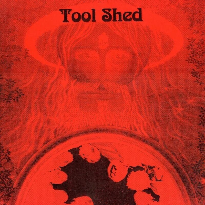 Tool альбомы. Tool обложки. tool обложки альбомов. группа tool альбомы. tool обложки автор.