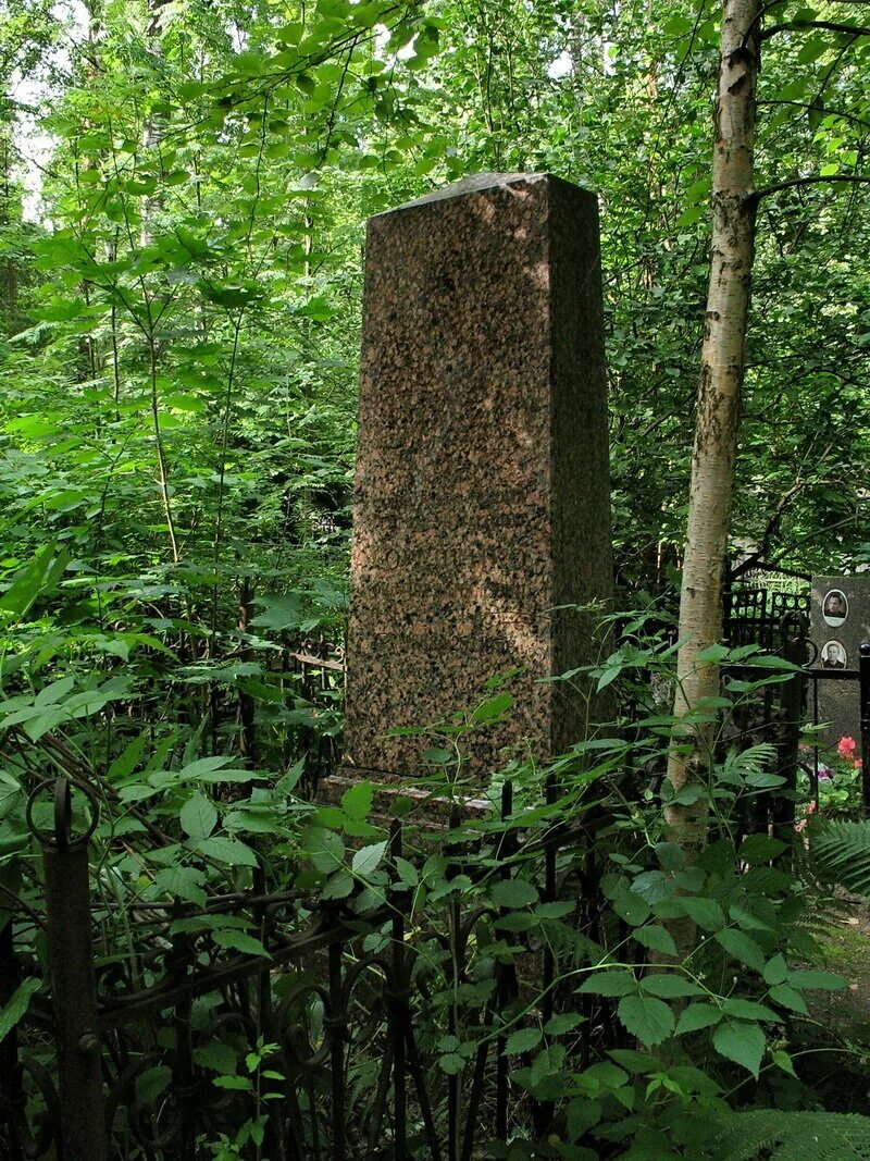 Заброшенные могилы. Заросшая могила. Кладбище в заросшее травой. Старые заросшие могилы ссср. Заросшее кладбище.