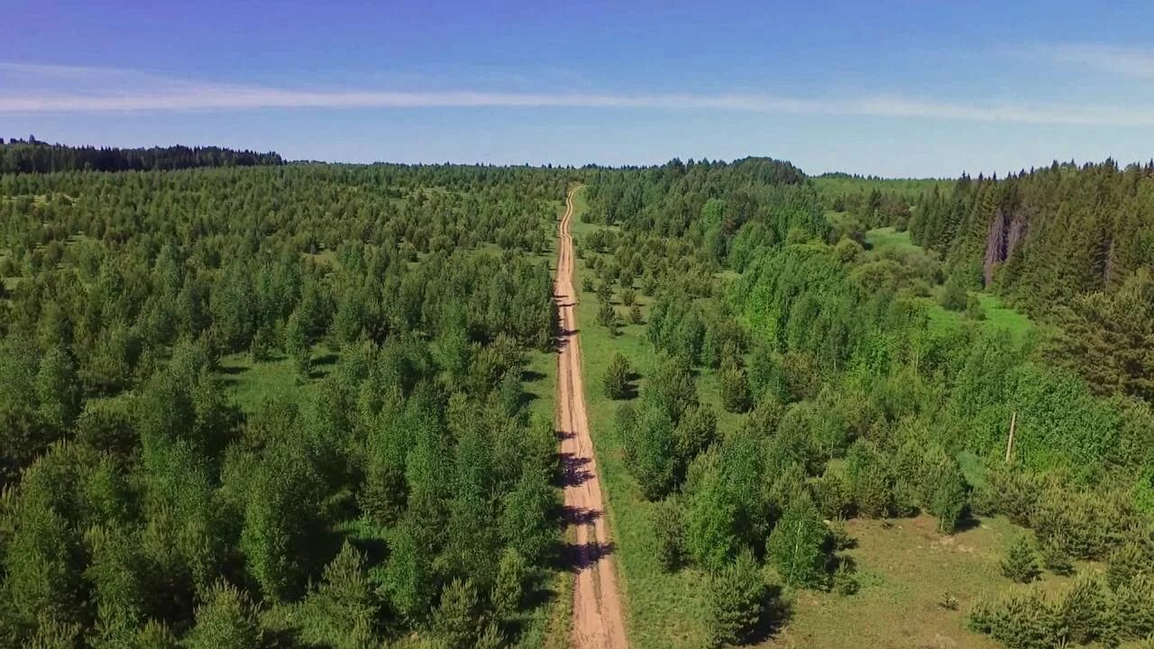 Поселок уральский. Нытвенский район Пермский. Еловый лес Пермский край, Нытвенский. Нытвенский район Пермь. Посёлок Юг Пермский край Нытвенский район.