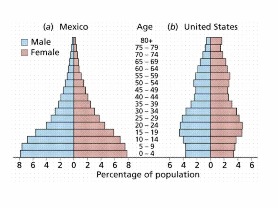 Population structure