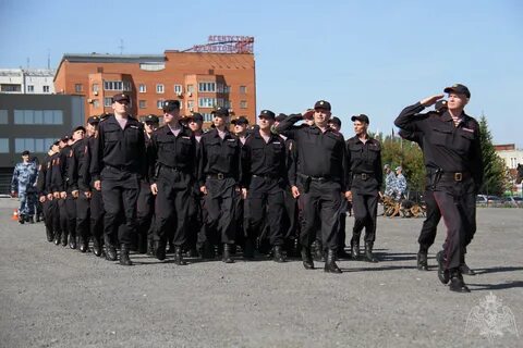 Строевых подразделений