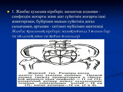 Өзара мастурбация және мастурбация