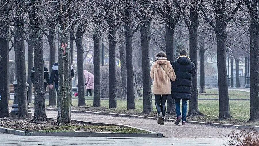 Бесснежная зима в Москве. Тепло на улице. Зима 2019-2020 без снега. Теплая бесснежная зима.