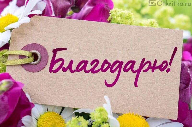 Благодарю за предоставленную информацию. Благодарю картинки. благодарю вас. благодарю дизайнерские. благодарю картинки с надписями красивые.