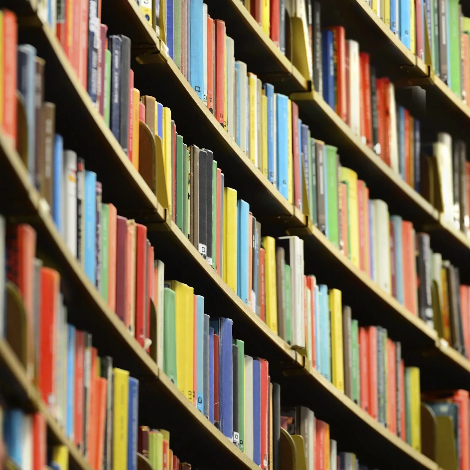 Each book. Each book