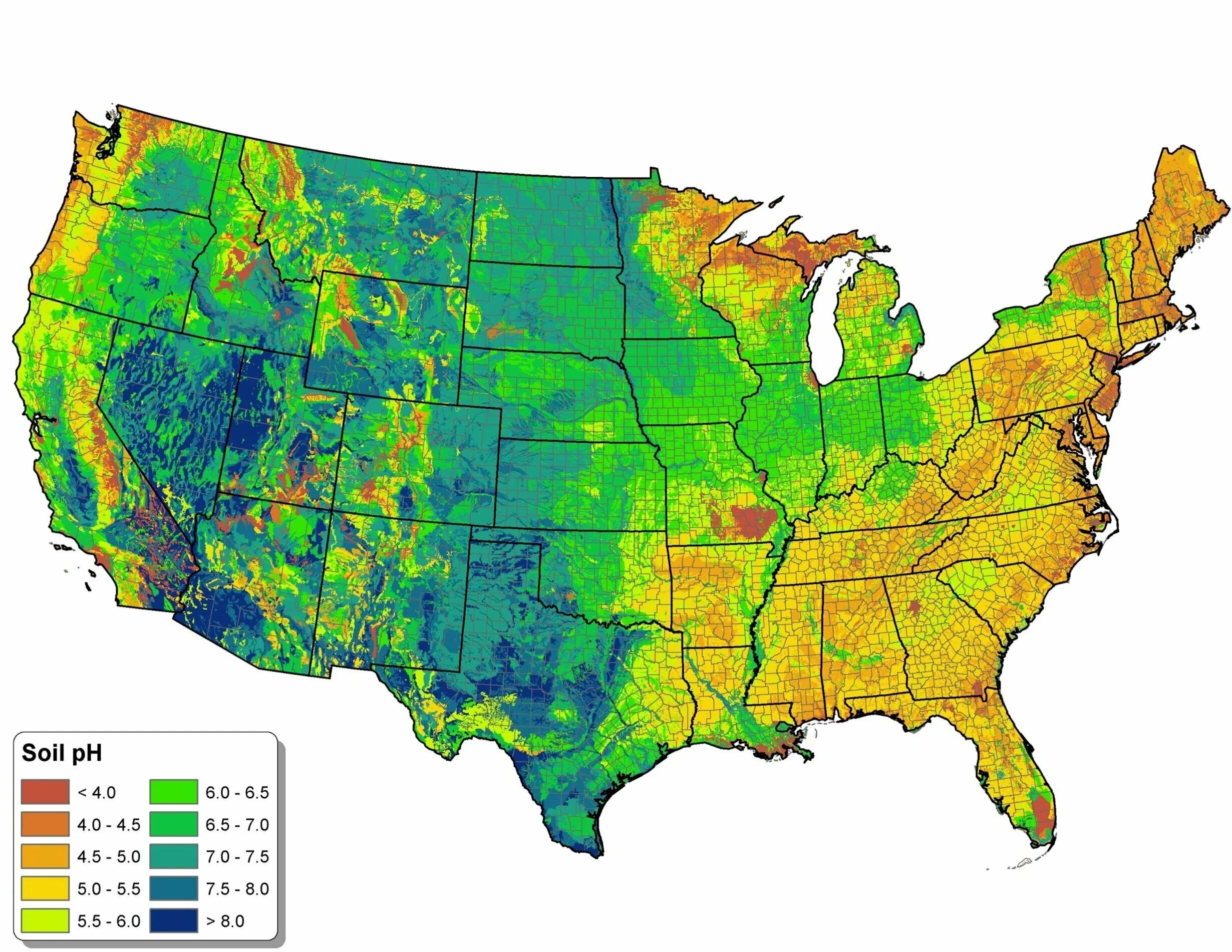 Почвы сша. Карта почв США. Почвенная карта США. Лесные ресурсы США карта.