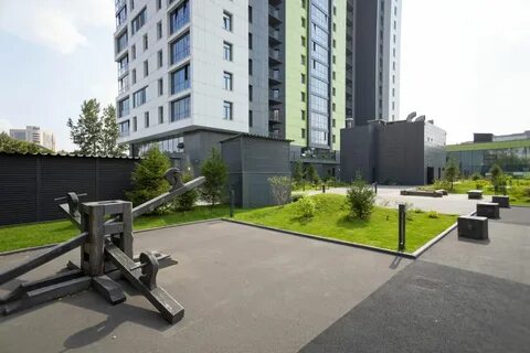Клевер новосибирск