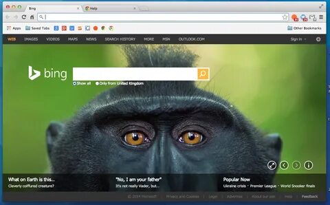 Bing search