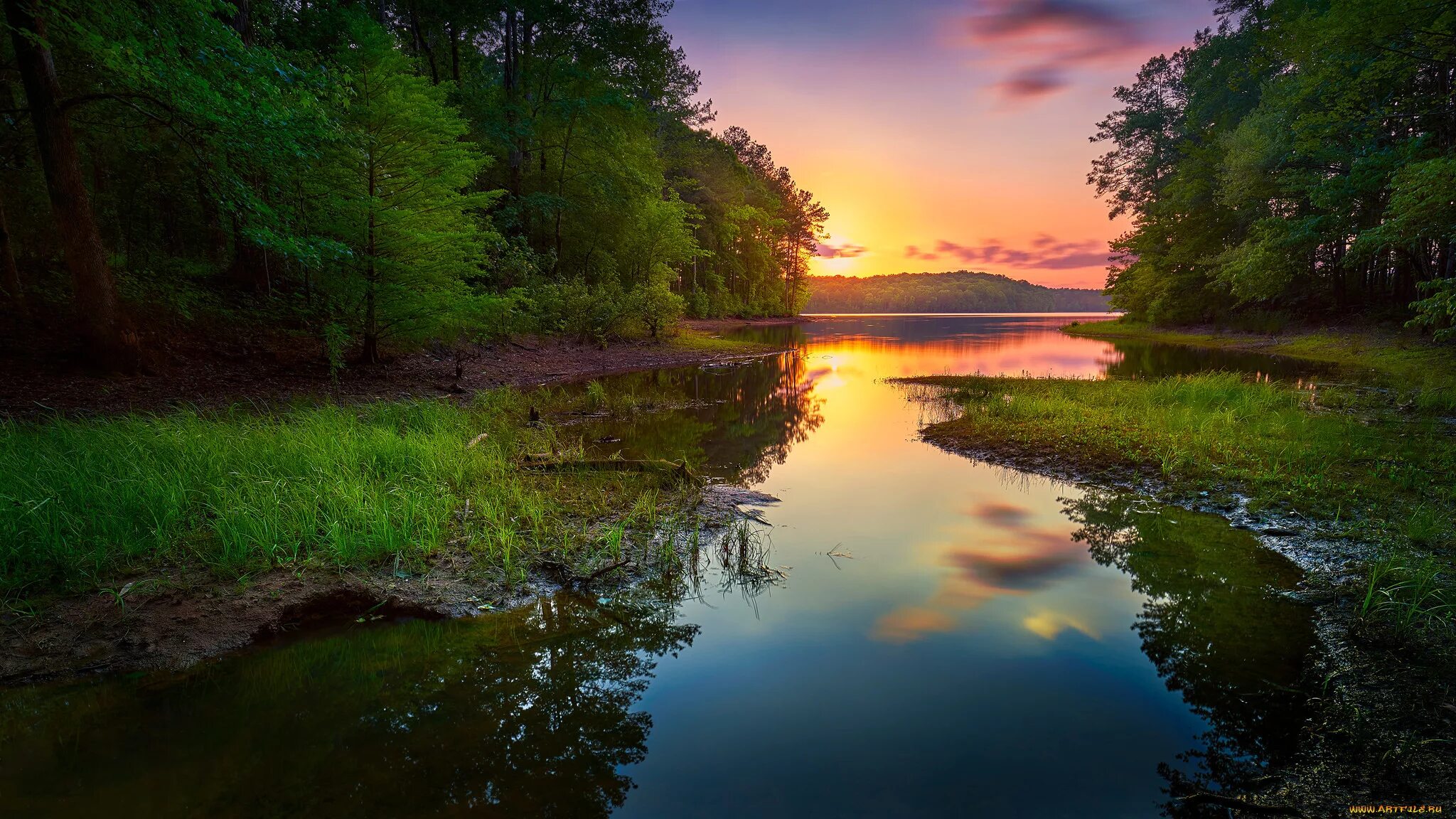 Река у леса. Природа лес река. Красивая река в лесу. Штат иллинойс природа. Красивая картинка реки.