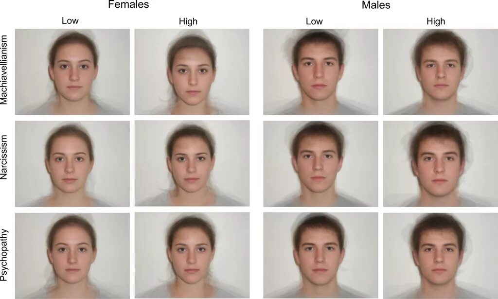 Какой внешность человека. Шкала оценки внешности девушек. Психопатические черты лица. Типичная американская внешность.