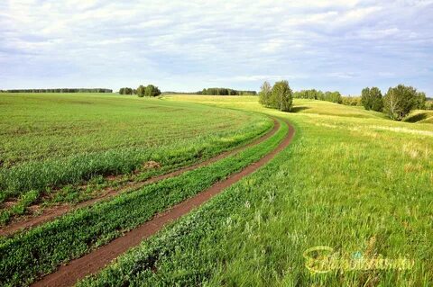 Полевая деревня