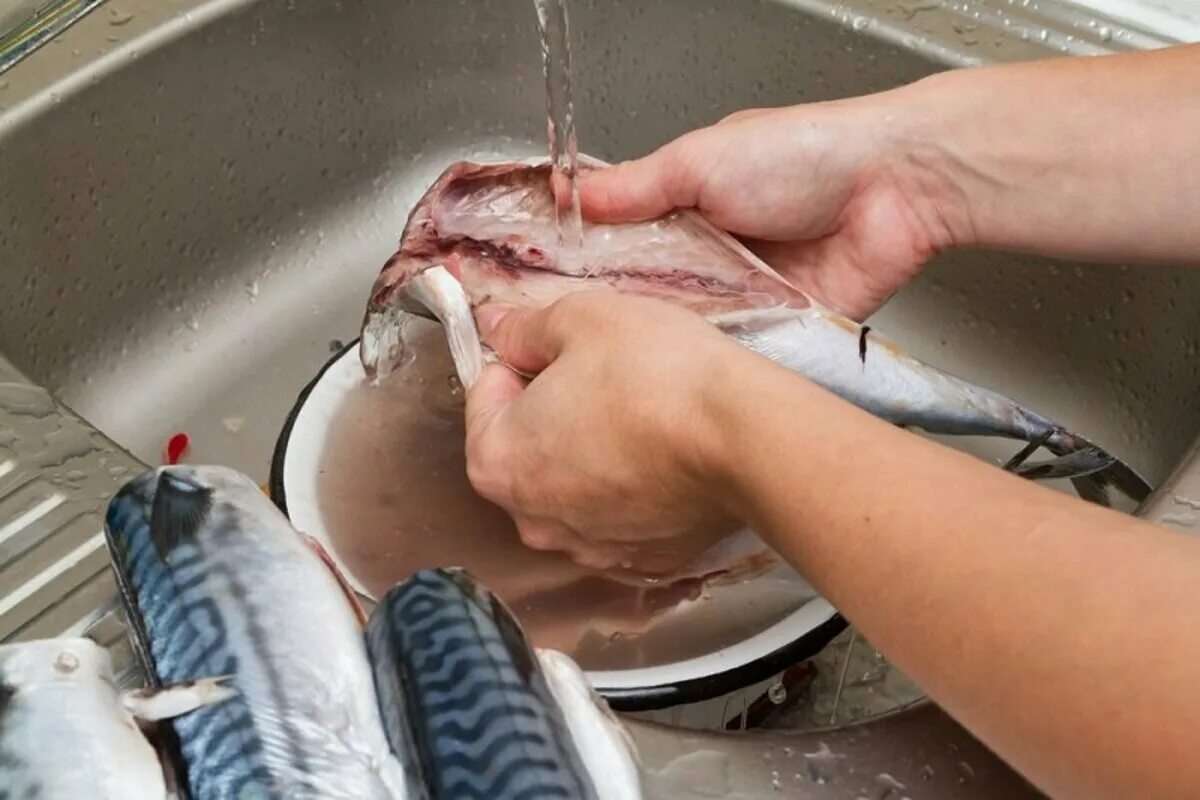 Помыть рыбу. Рыба в раковине.