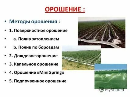 Перечислите виды орошения