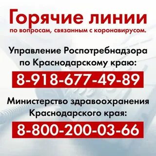 Телефон горячей линии г краснодар