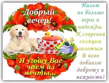 Пожелания с добрым вечером друзьям картинки